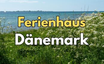 Ferienhaus-Dänemakr